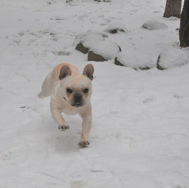 DSC_9495.JPG