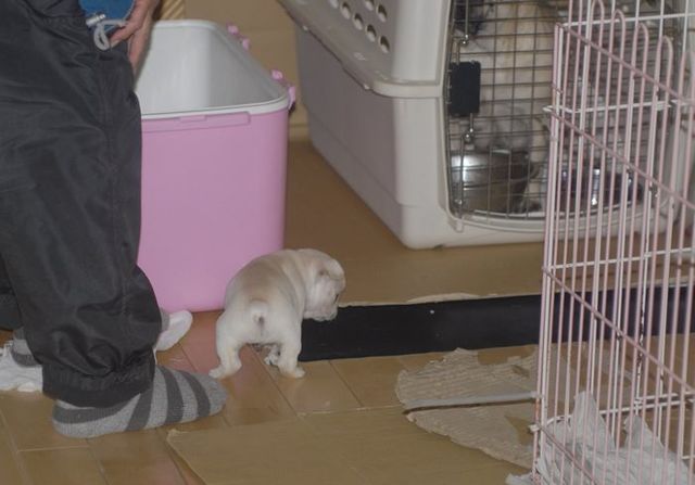 ぼくー２.JPG