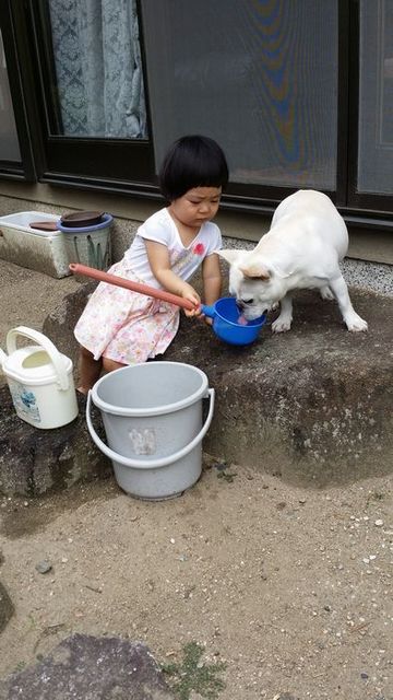 みず２.jpg