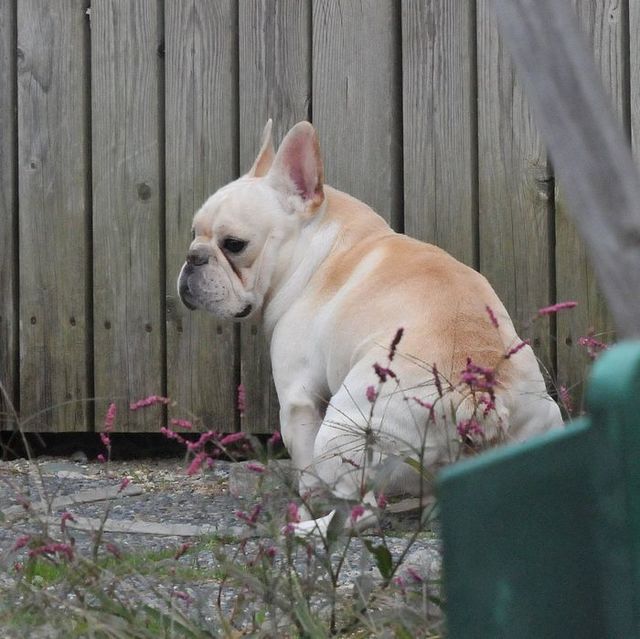 x3.JPG